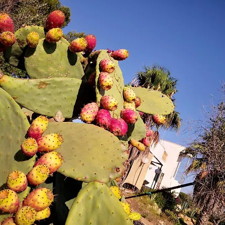 B&B Villa Gallipoli Alojamento de Acomodação e Pequeno-almoço Gallipoli